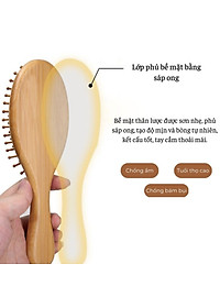 Lược chải tóc Coral gỡ rối massage da đầu ngăn ngừa gãy rụng giúp tóc khoẻ đẹp