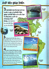 Sách 500 Dữ Kiện Khoa Học Về Đại Dương