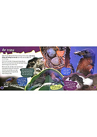 Sách Độc Lạ Phi Thường - Thú Con Bé Bỏng