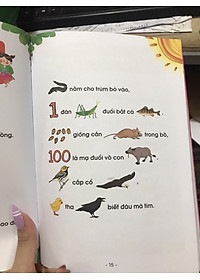 Đồng dao tư duy hình ảnh cho bé tập nói tập đọc