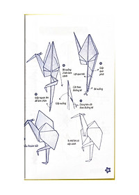 product-img-10