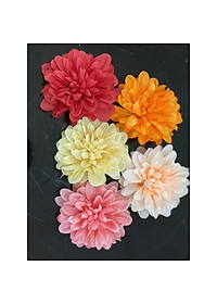 product-img-10
