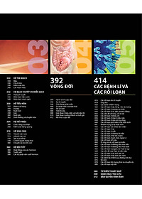 product-img-5