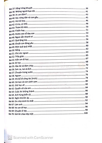 product-img-12