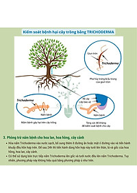 Chế phẩm men vi sinh nấm Trichoderma loại 1kg mã PM027. ĐIỀN TRANG - TRICHO 1000G