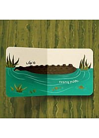 product-img-8