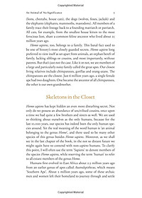 product-img-12