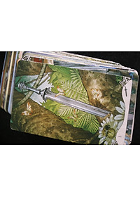 product-img-5
