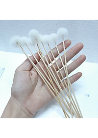 Set 5 cây bông ngoáy tai,bông se tai (bông ráy tai lông ngỗng)