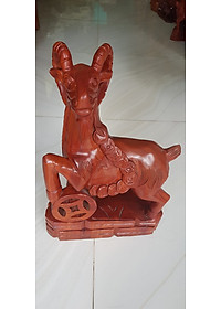 product-img-1