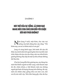 product-img-12