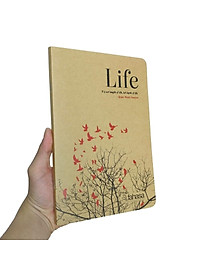 product-img-8