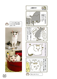 product-img-10