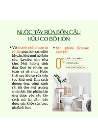 Nước tẩy rửa bồn cầu hữu cơ Ecocare 1L làm sạch, diệt khuẩn, khử mùi hiệu quả với tinh dầu Sả chanh/Quế
