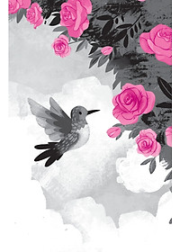 product-img-12