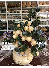product-img-2