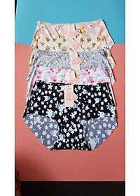 Combo 5 chiếc quần lót nữ thun lạnh chất vải co giãn 4 chiều điều hòa cực thông thoáng họa tiết 3D trẻ trung