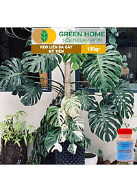 Keo Liền Sẹo Cho Cây Greenhome, Mỹ Tiến, Chai 100gr, Liền Nhanh Vết Cắt Da Cây, Chiết Cành, Tạo Dáng Bonsai, Lan, Kiểng