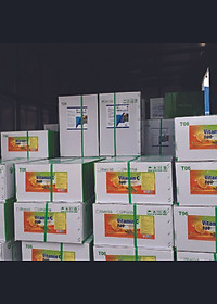 VIBRIO CLEAR - Xử lý khuẩn phổ rộng hiệu quả trong ao nuôi tôm cá