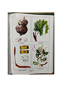 product-img-4
