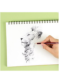 Bút Chì HB Gỗ Than Chuốt Bào Phác Thảo Vẽ Ghi Có Gôm Tẩy Lục Giác