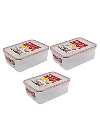 Combo 03 hộp thực phẩm chữ nhật inomata hàng nội địa Nhật Bản