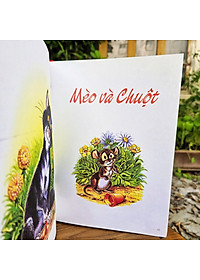 Sách Những Câu Chuyện Hay Nhất Về Mèo