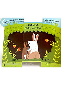 Sách Animals - Các Loài Động Vật