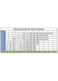 Combo 05 Quần Lót Nam Vải Thun Lạnh Cao Cấp KhoNCC Viền Lưng Bản To Nhiều Màu - NQL-QLNHR-5c - Hàng Chính Hãng