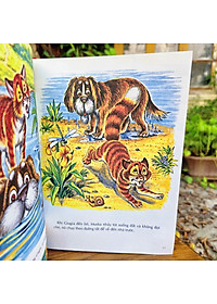 Sách Những Câu Chuyện Hay Nhất Về Mèo