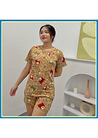 Đồ bộ mặc nhà quần đùi DN2 - Đồ bộ cotton quần đùi mặc nhà - Bộ đồ nữ mặc nhà