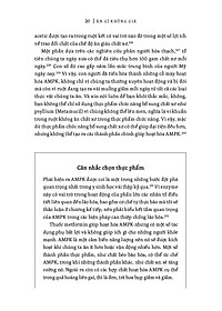 product-img-14