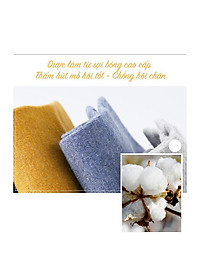 Set 10 Đôi Tất Cổ Ngắn Unisex Đa Sắc Chống Hôi Chân BT11 giá rẻ tốt