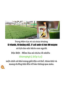 product-img-5