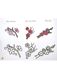 Sách Bàn Tay Nhỏ Vẽ Tranh - Thực Vật Phong Phú