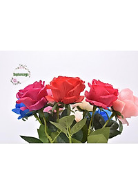product-img-8