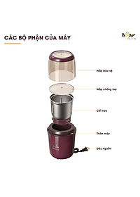 Máy Xay Cà Phê, Máy Xay Hạt Thực Phẩm Khô Đa Năng BEAR MDJ – A02G3 Chế Độ Xay Cực Êm Dung Tích 200 ML Công Suất 200 W- Hàng Chính Hãng