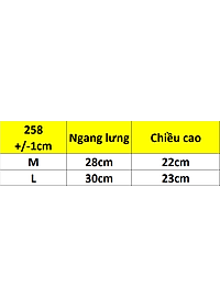 COMBO 5 QUẦN REN MỀM LƯNG CAO 258