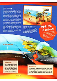 product-img-10
