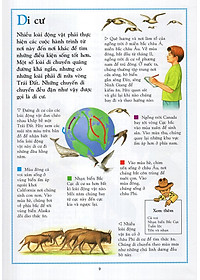 Sách Bách Khoa Động Vật Cho Trẻ Em