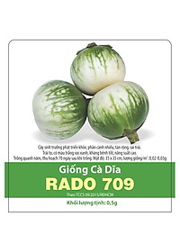 Hạt Giống Cà Dĩa Rado 709