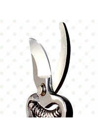 [Nhanh Gọn] Kéo Cắt Tỉa Cành Cây Lưỡi Cong KhoNCC Hàng Chính Hãng - Giúp Việc Cắt Hiệu Quả Hơn - KLVQ-KCTCC