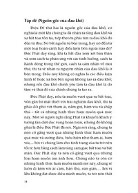 product-img-11