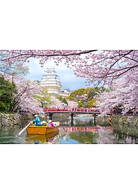 Bộ tranh xếp hình jigsaw puzzle cao cấp 330 mảnh – Lâu Đài Himeji