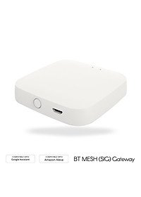 Bộ hub trung tâm Wi-Fi Hub BT Mesh (SIG) cho nhà thông minh  Gateway Tương thích với Alexa Trợ lý Google Đa thiết bị