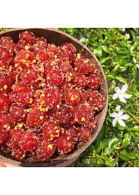 Chùm Ruột Sấy Chanh Muối Viettin Mart 500GR