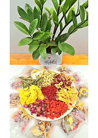 product-img-5