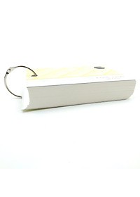 Giấy Note Motto Flash Cards CYFC100