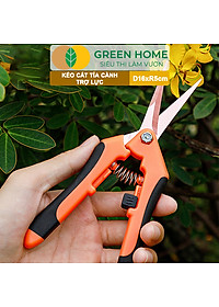 Kéo Cắt Cành GreenHome, D16,5xR4,5cm, Inox, Mũi Nhọn, Siêu Bén, Không Gỉ, Có Khoá An Toàn, Nhiều Màu Lựa Chọn