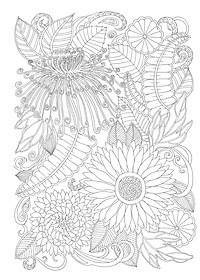 Tô Màu Người Lớn - MAI LAN CÚC TRÚC